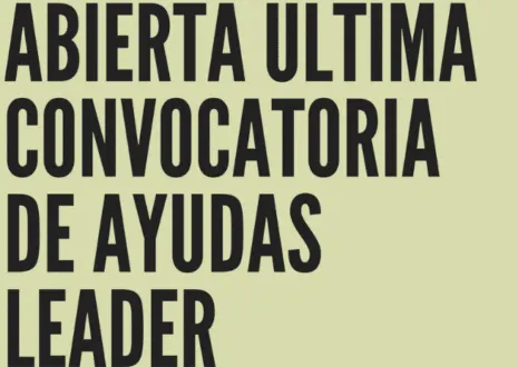 convocatoria