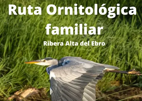 ruta ornitologica