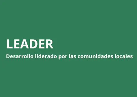 Noticia Ayudas LEADER