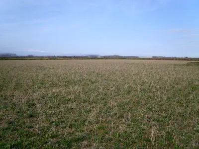 planta de biometanización 1