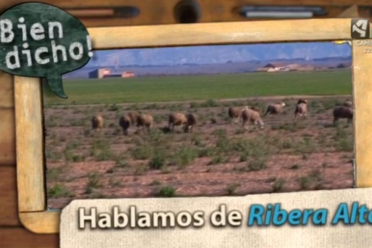 RiberaAltadelEbro