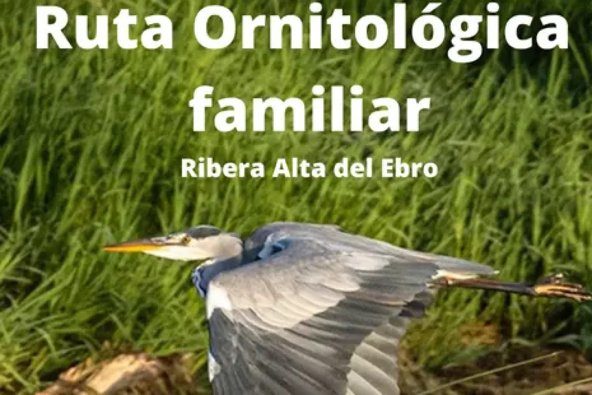 ruta ornitologica
